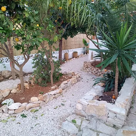 Mayarí